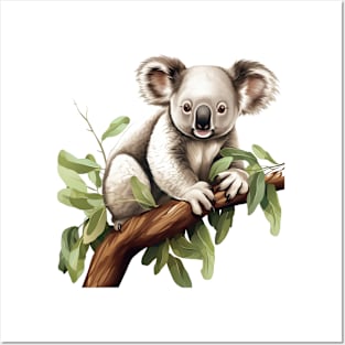 Koala In Australia Posters and Art